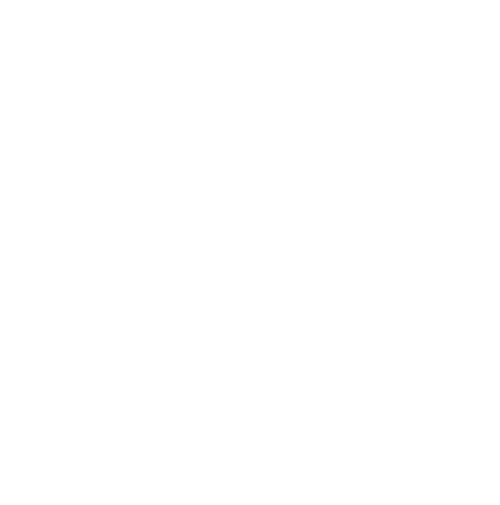 SBD Detail Transparent Logo